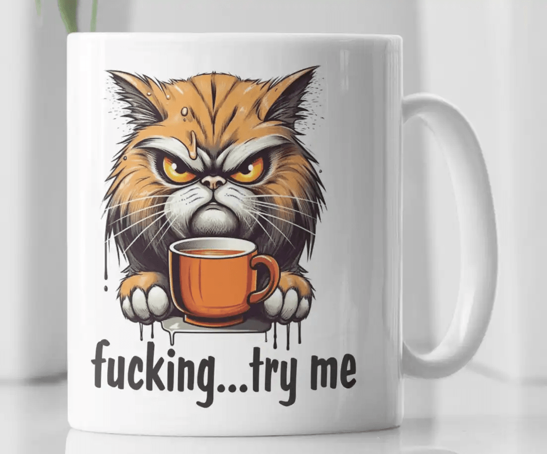 Funny Adult Fucking Try Me Novelty Coffee Mug - MM Collectables