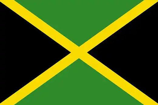 Jamaica Flag Photo Fridge Magnet