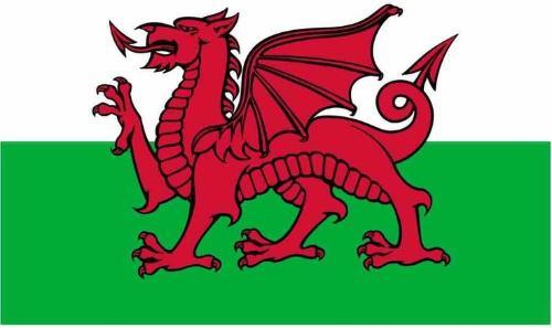 Wales Flag Photo Fridge Magnet - MM Collectables
