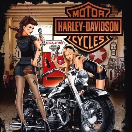 Harley Davidson Sexy Drinks Coaster