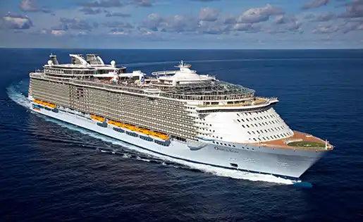 Oasis Of The Seas Cruise Ship Photo Fridge Magnet